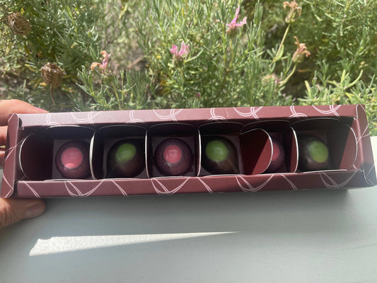 Pistacho and Raspberry 54% cacao Dark Chocolate Bonbons