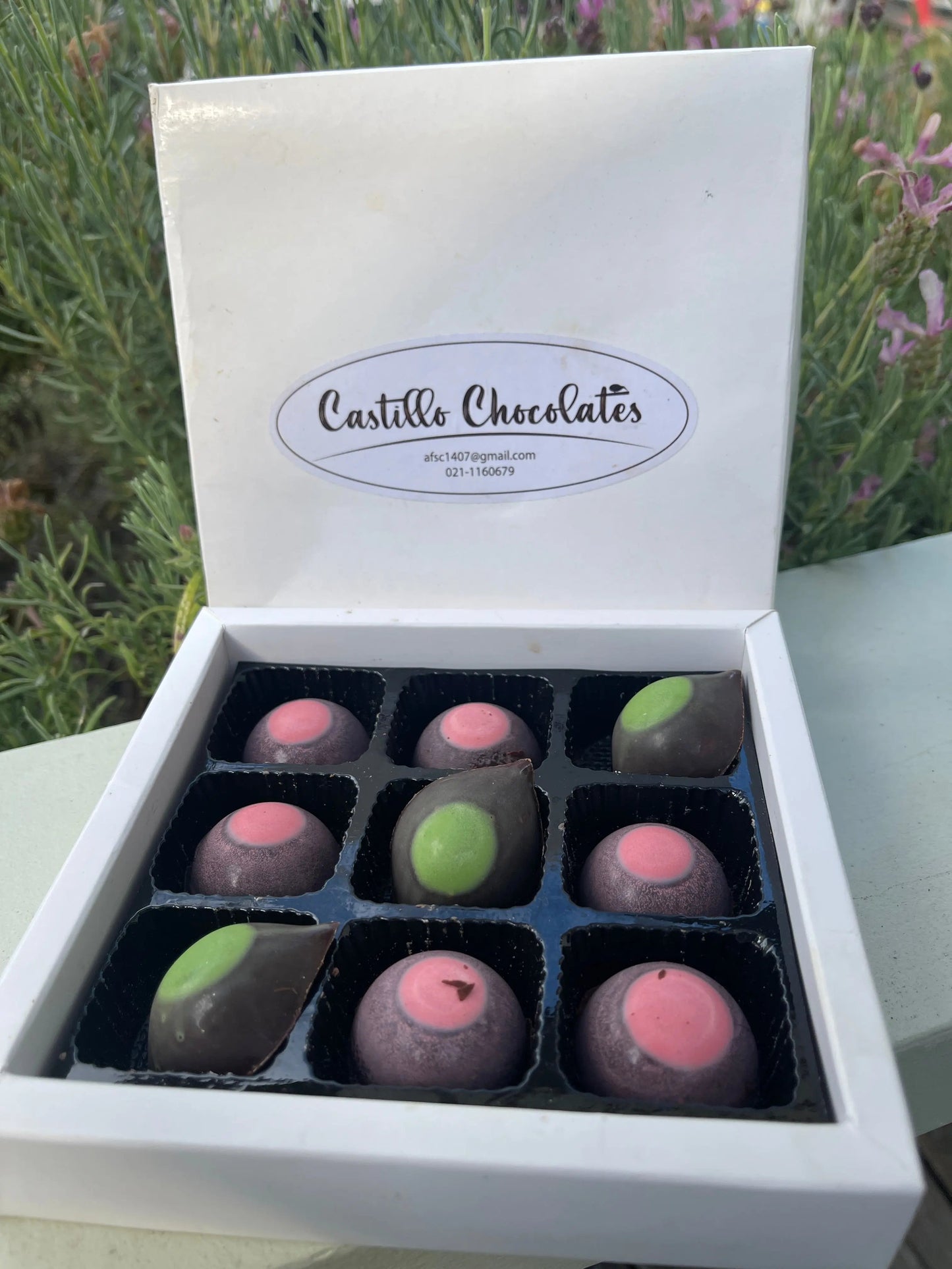 Pistacho and Raspberry 54% cacao Dark Chocolate Bonbons