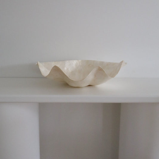 Pearl Clam Shell
