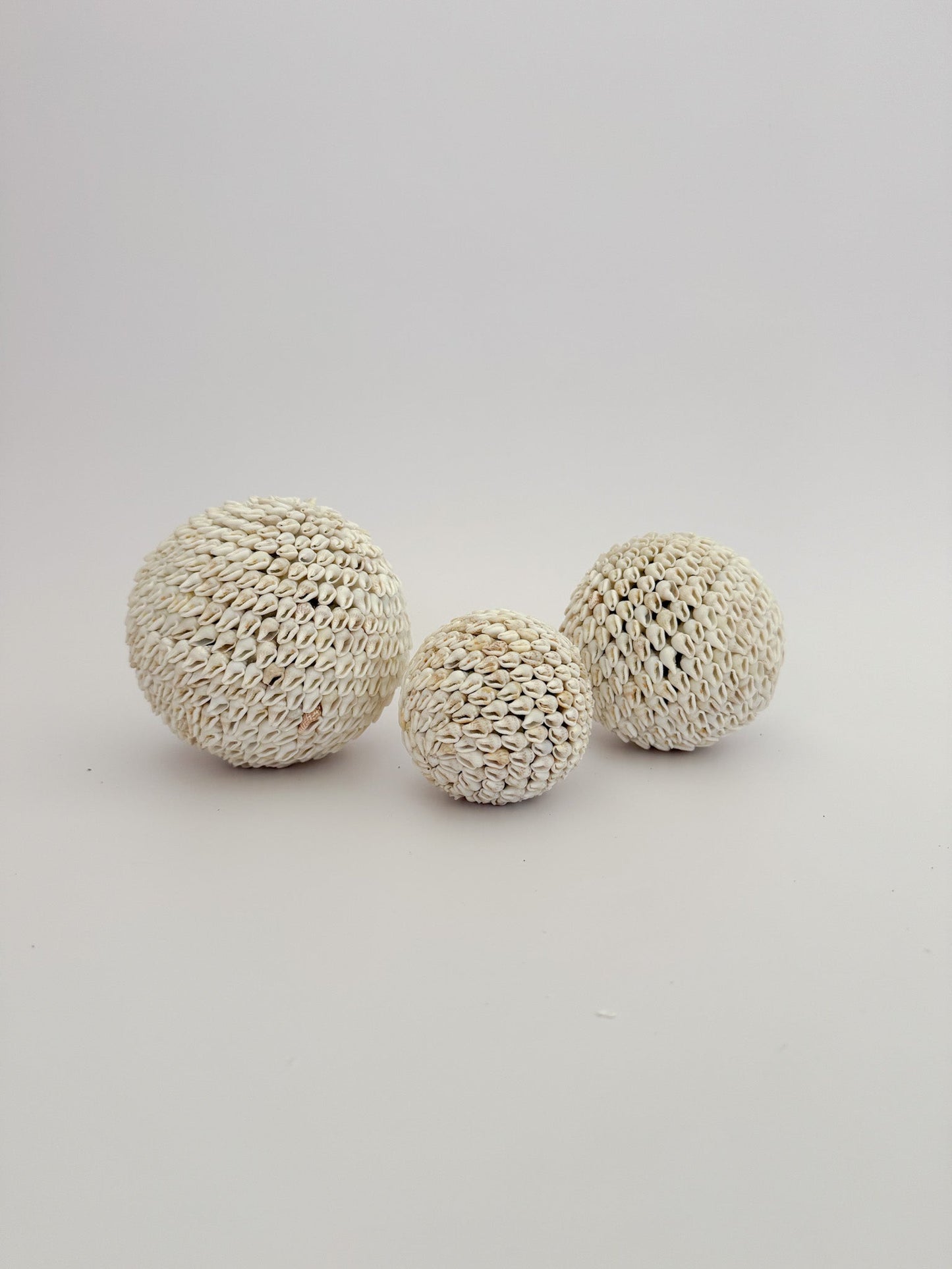 Natural White Shell Ball