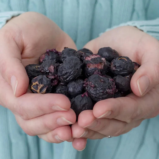 Freeze-Dried Fruit | Crunchy Whole Blueberries