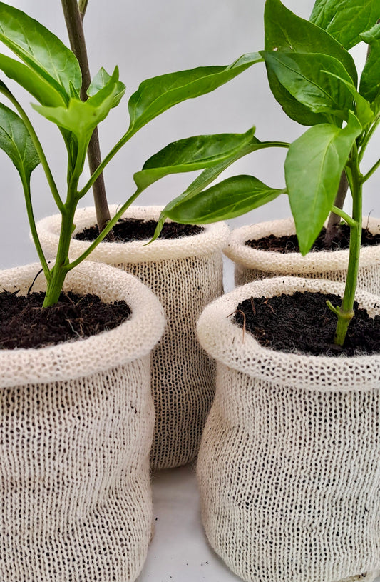 10  Wool Pots - Eco-Friendly - wool Pot - Biodegradable