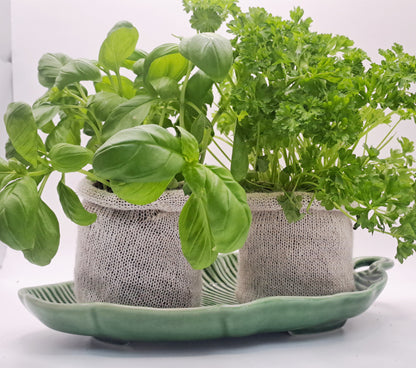 20 wool pots - Eco-Friendly - wool pots - Biodegradable