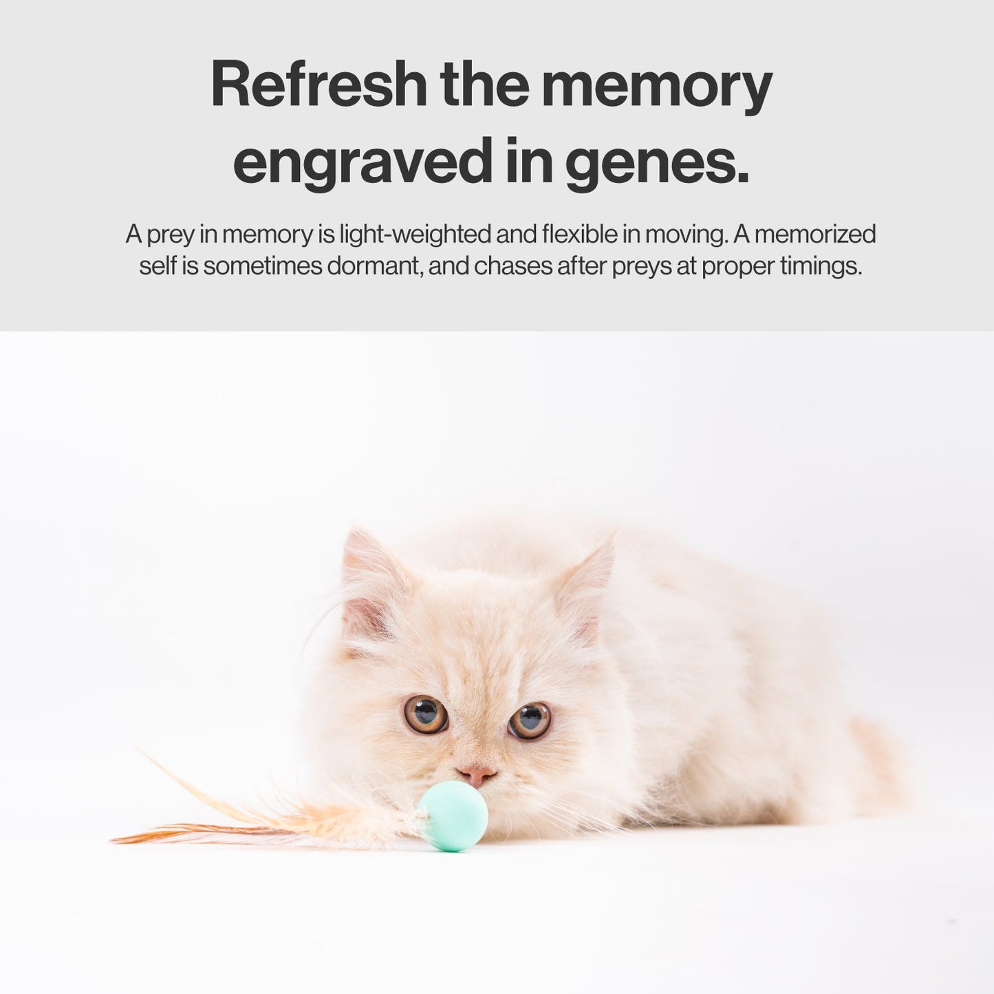 PIDAN Cat Bouncy Balls with Feathers – 3 Pack