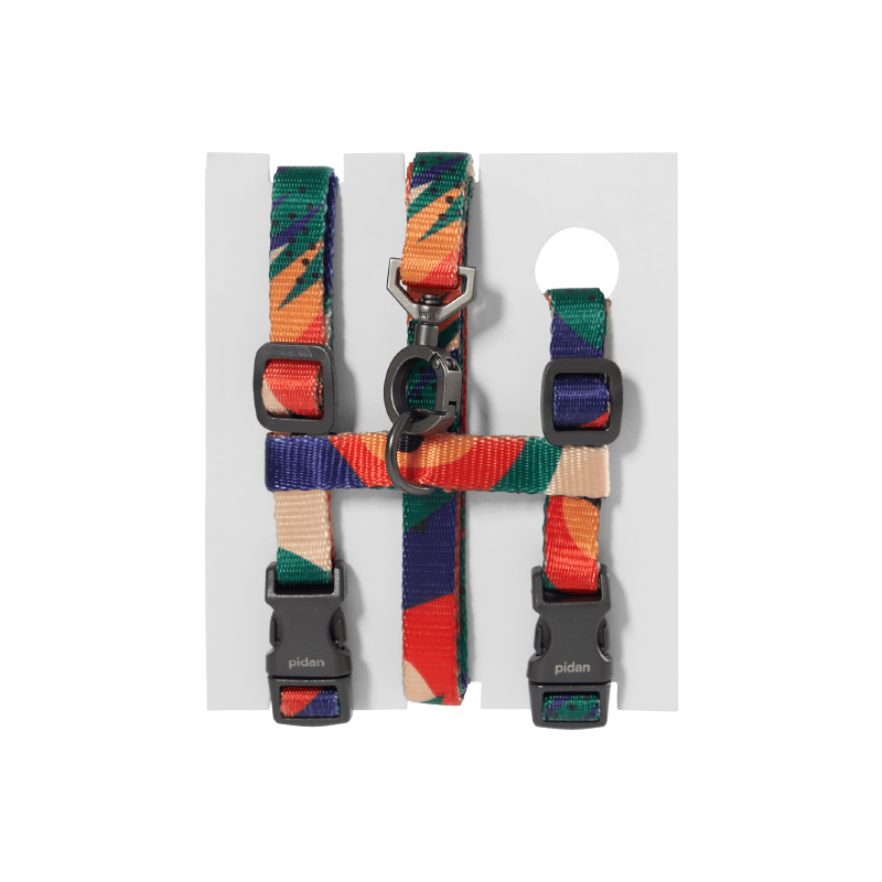 PIDAN Cat Leash & Harness