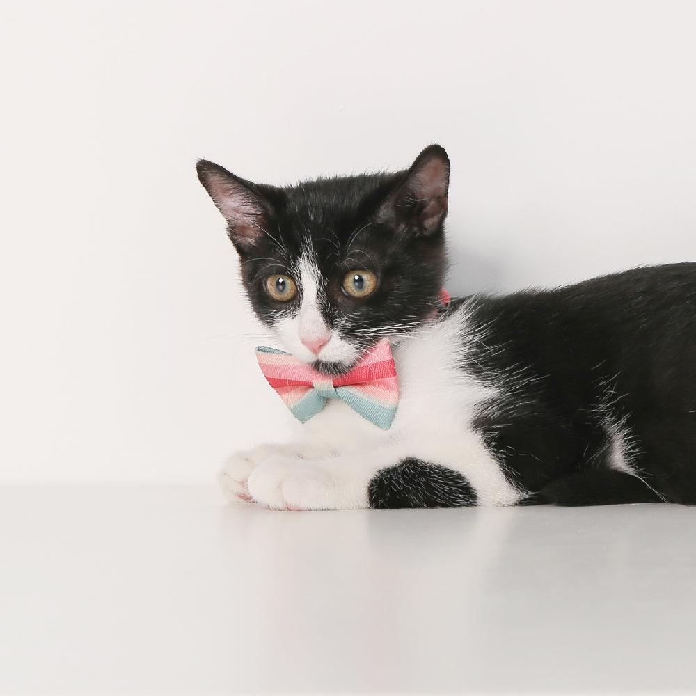 PIDAN Cat Bow Tie Collar