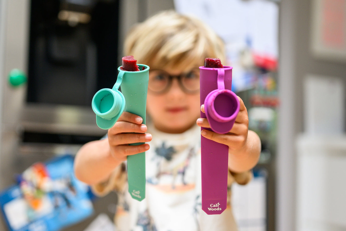 Ice Block Moulds (2 for 1!)