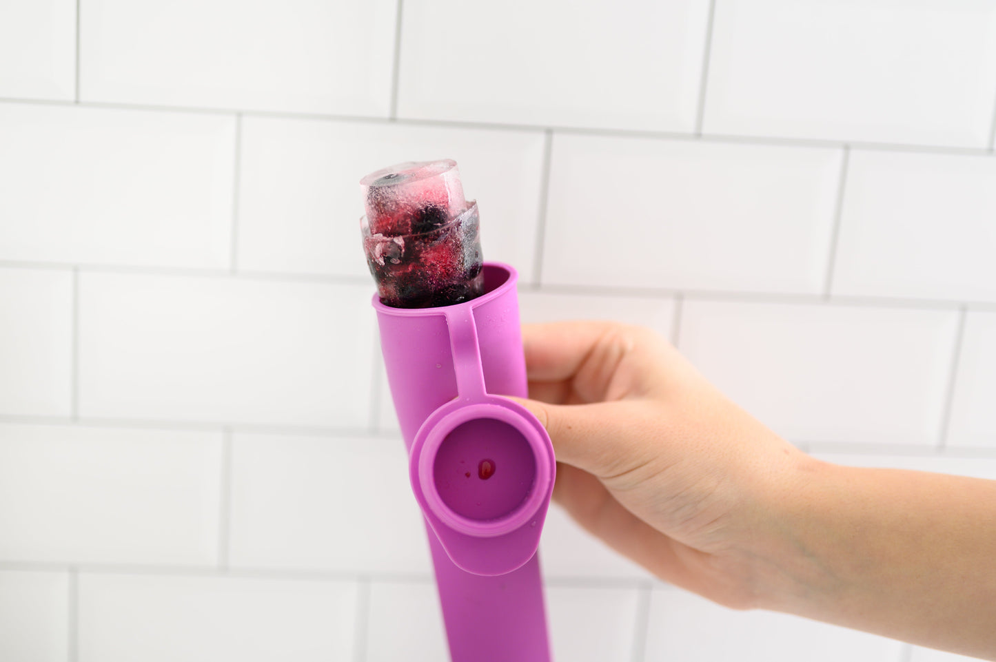 Ice Block Moulds (2 for 1!)