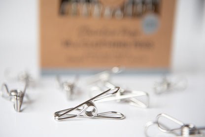 Stainless Clothing Pegs