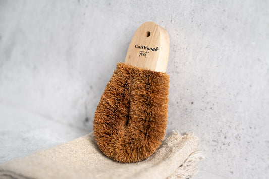 Foot Brush