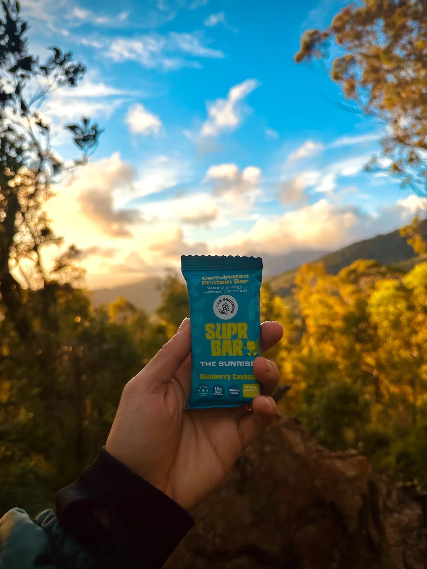 Caffeinated Protein Bar | Blueberry Cashew