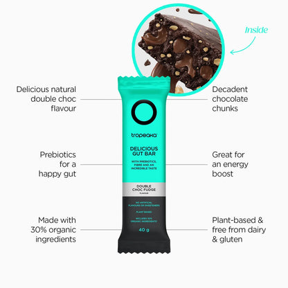Delicious Gut Bar | Double Choc Fudge