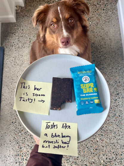 Caffeinated Protein Bar | Blueberry Cashew