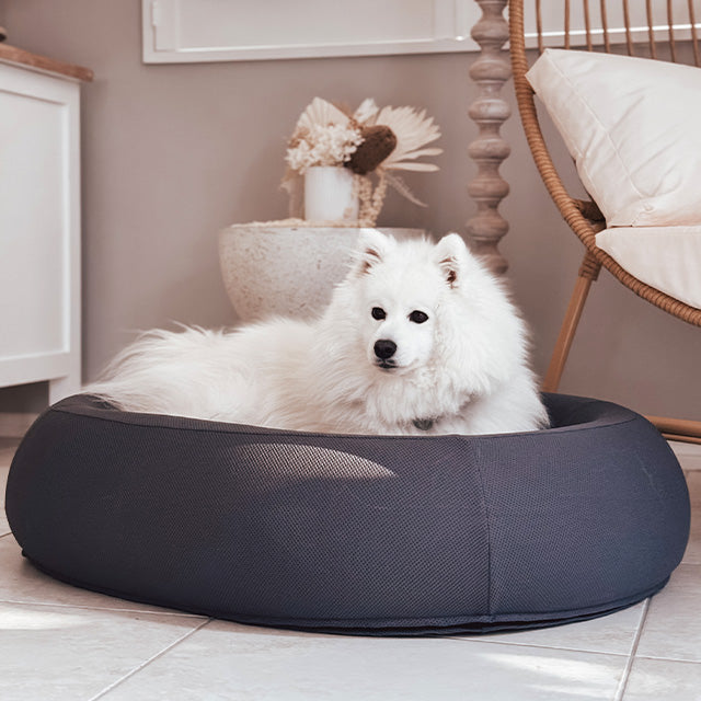Brooklyn® Cooling Nest Dog Bed